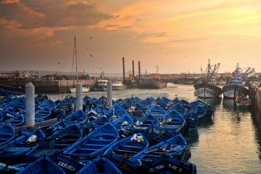 Traditional blue fishing boats at the port of Port of Essaouira during an Essaouira day trip on Morocco’s Atlantic coast.