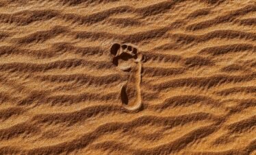 Footprints in the golden sand dunes of the Sahara Desert during a journey to Explore Fes and Atlas