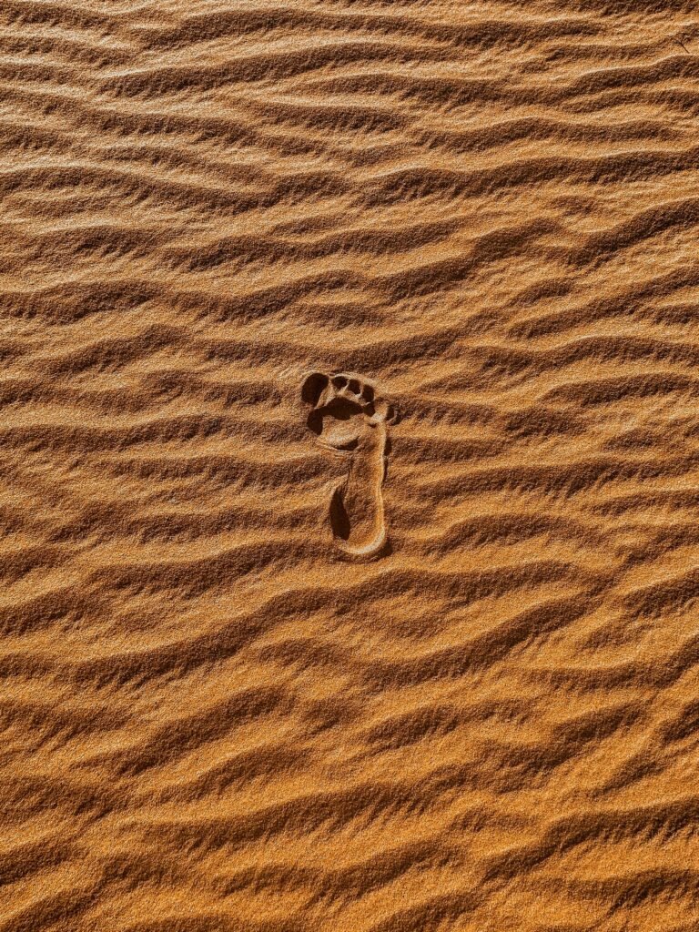 Footprints in the golden sand dunes of the Sahara Desert during a journey to Explore Fes and Atlas