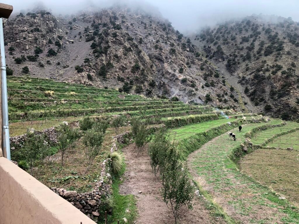 Traditional farming terraces near Tamsoult in the High Atlas Mountains surrounded by Berber villages