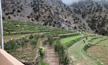 Traditional farming terraces near Tamsoult in the High Atlas Mountains surrounded by Berber villages